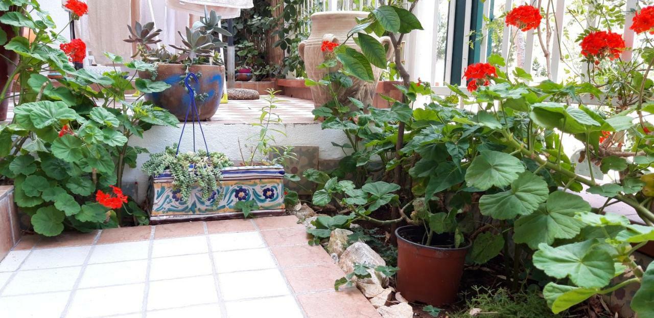 Апартаменты Casa Perciata - Locazione Turistica Монделло Экстерьер фото